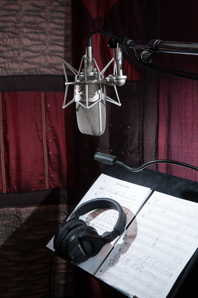 Neumann Microphone in Vocal Booth